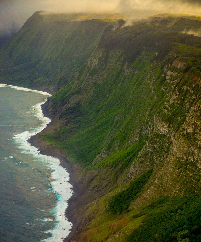 Adventure Shorts | Men's Trunks | Outerknown